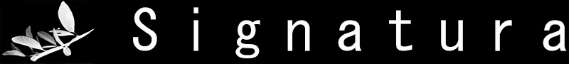 Insertar logotipo aquí
